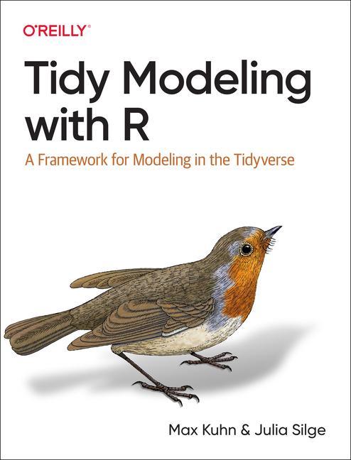 Buch Tidy Modeling with R 