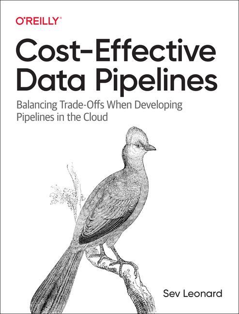 Kniha Cost-Effective Data Pipelines 