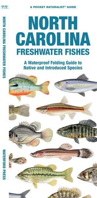 Könyv North Carolina Freshwater Fishes: A Waterproof Folding Guide to Native and Introduced Species Waterford Press