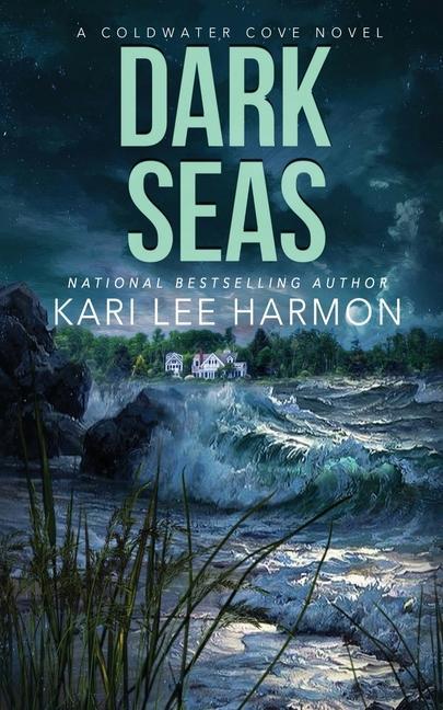 Buch Dark Seas Kari Lee Harmon