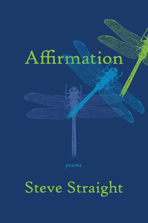 Knjiga Affirmation Steve Straight