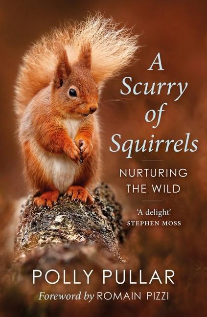 Kniha Scurry of Squirrels Romain Pizzi