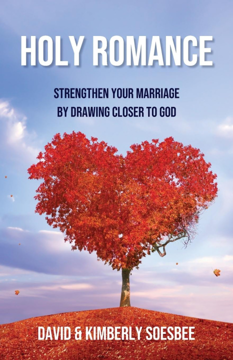 Buch Holy Romance David Soesbee
