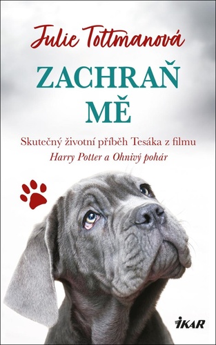 Книга Zachraň mě Julie Tottmanová