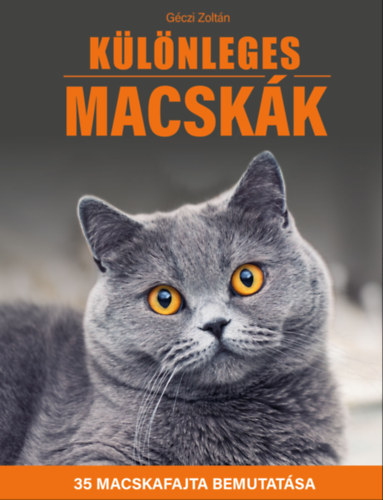 Könyv Különleges macskák Géczi Zoltán