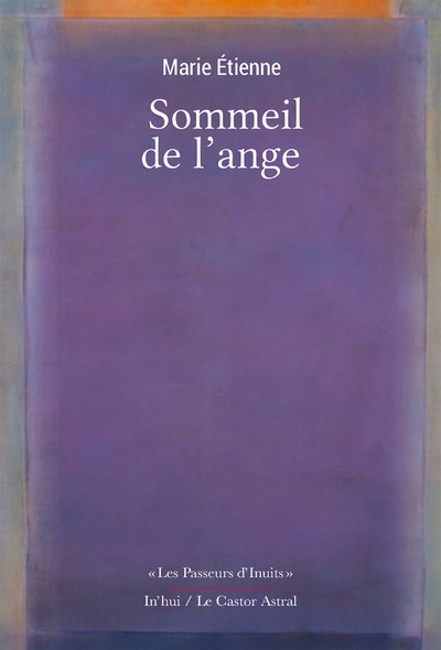 Knjiga Sommeil de l'ange Marie Etienne