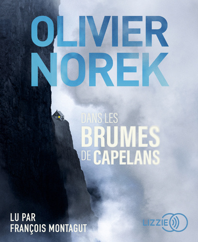 Knjiga Dans les brumes de Capelans Olivier Norek