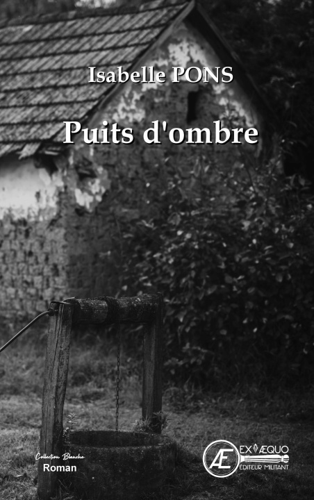 Knjiga PUITS D'OMBRE PONS ISABELLE