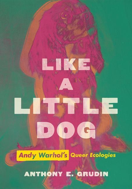 Knjiga Like a Little Dog Anthony E. Grudin