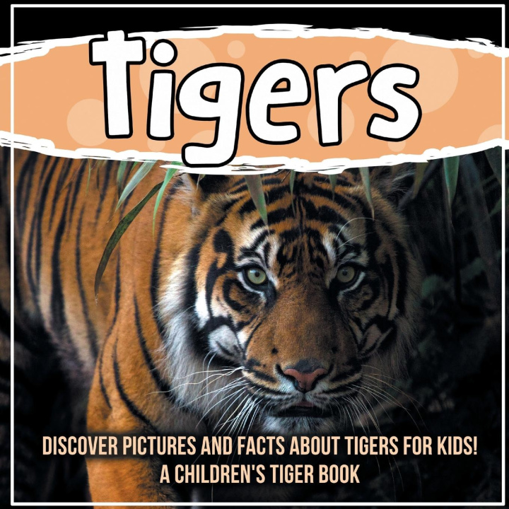 Livre Tigers 