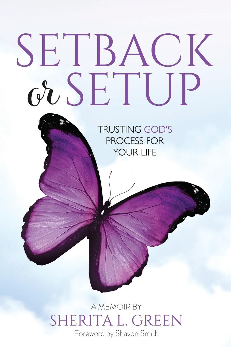 Knjiga Setback Or Setup Sherita L. Green