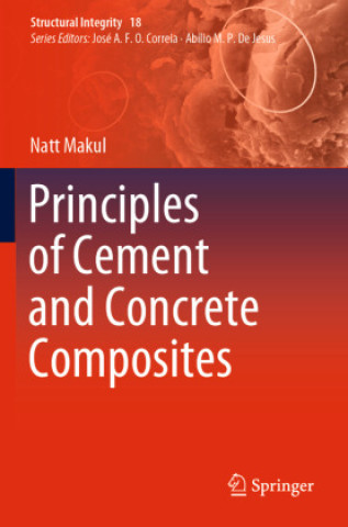Kniha Principles of Cement and Concrete Composites Natt Makul