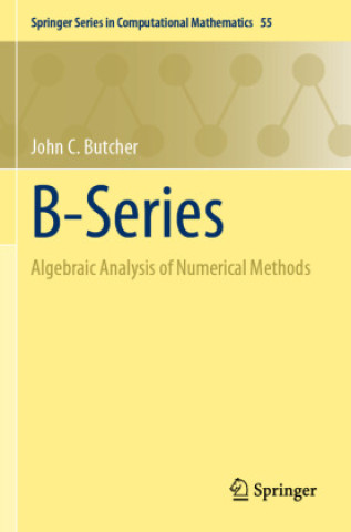 Buch B-Series John C. Butcher