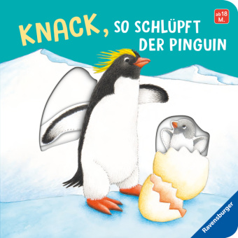 Kniha Knack, so schlüpft der Pinguin Barbara Jelenkovich