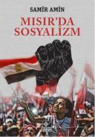 Knjiga Misirda Sosyalizm 