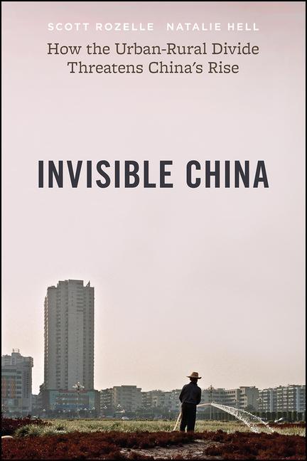 Kniha Invisible China Scott Rozelle