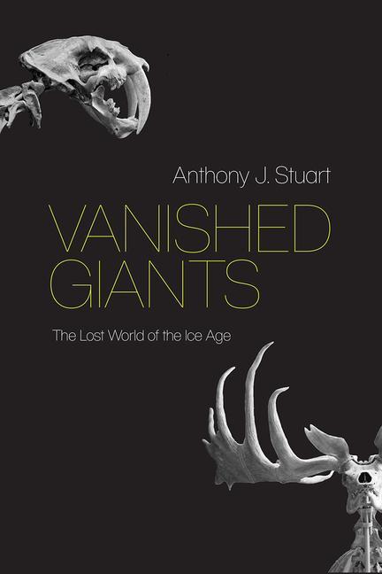 Kniha Vanished Giants Anthony J. Stuart