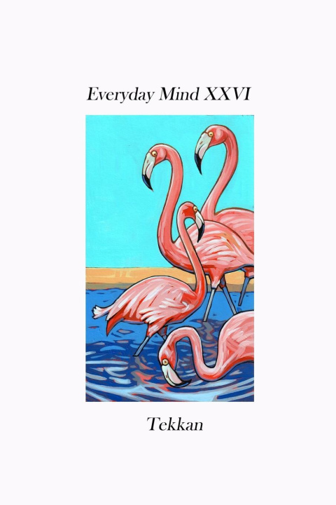 Buch Everyday Mind XXVI Tekkan