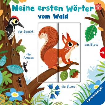 Könyv Meine ersten Wörter vom Wald - Sprechen lernen mit großen Schiebern und Sachwissen für Kinder ab 12 Monaten Matthew Scott