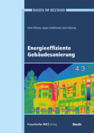 Kniha Energieeffiziente Gebäudesanierung. Frank Eßmann