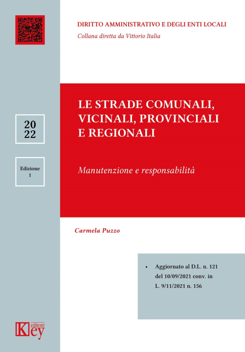 Книга strade comunali, vicinali, provinciali e regionali manutenzione e responsabilità Carmela Puzzo