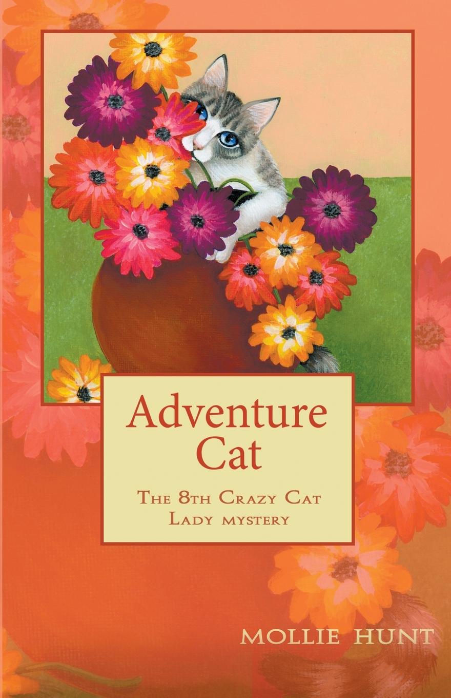 Knjiga Adventure Cat Mollie Hunt