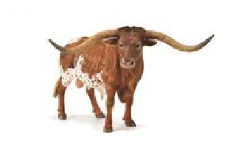 Knjiga Texas Longhom Bull 