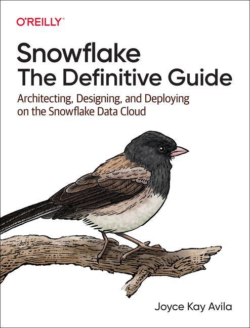 Könyv Snowflake - The Definitive Guide Joyce Kay Avila