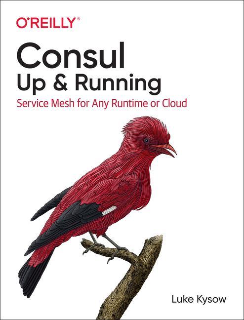 Kniha Consul: Up and Running Luke Kysow
