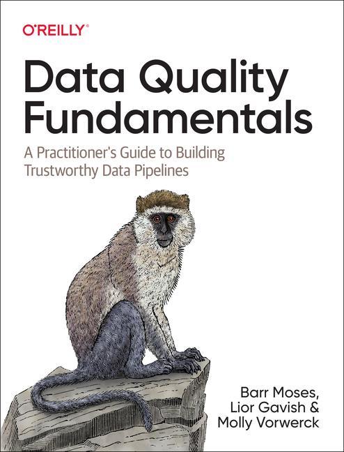 Книга Data Quality Fundamentals Barr Moses