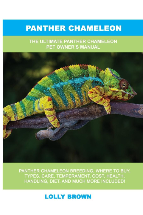 Kniha Panther Chameleon 