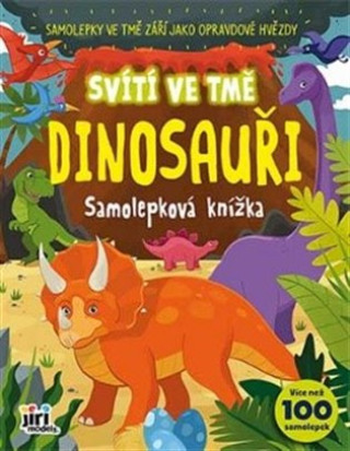 Książka Svítí ve tmě Dinosauři 
