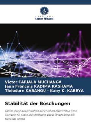 Knjiga Stabilität der Böschungen Jean Francois Kadima Kashama