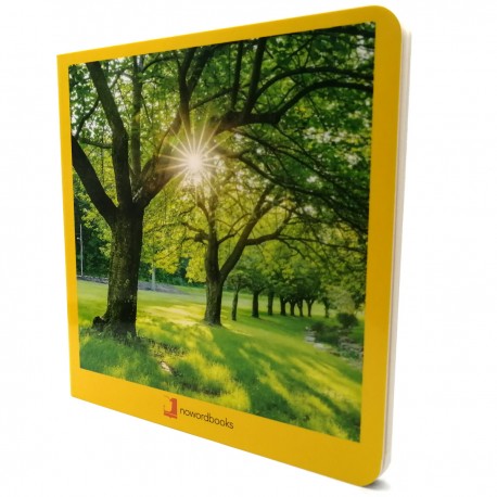 Libro Verano 