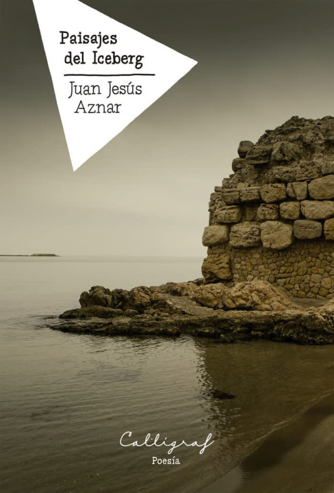 Kniha Paisajes del Iceberg JUAN JESUS AZNAR DEL AGUILA