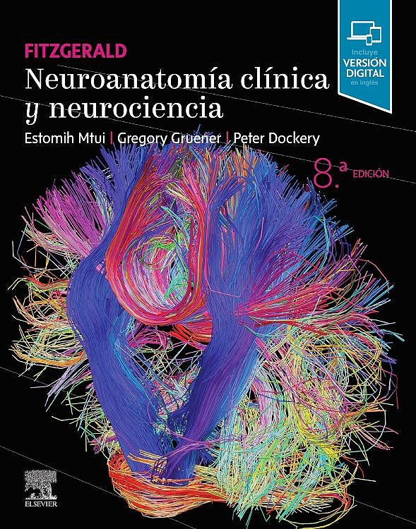 Kniha Fitzgerald. Neuroanatomía clínica y neurociencia ESTOMIH MTUI