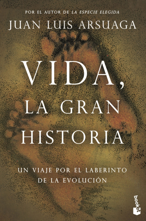 Könyv Vida, la gran historia JUAN LUIS ARSUAGA
