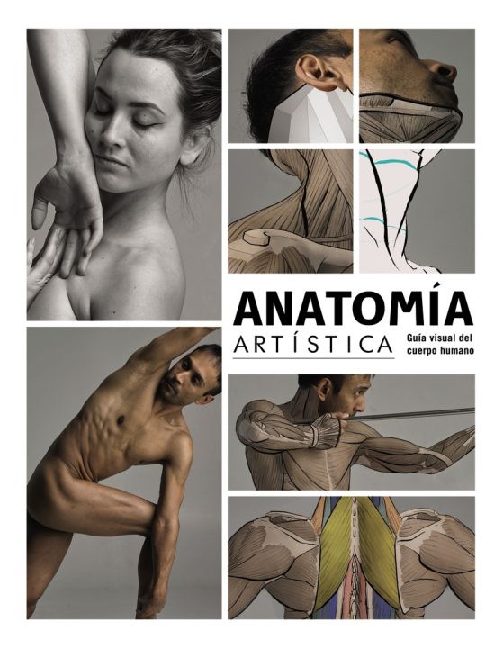 Carte Anatomía artística 