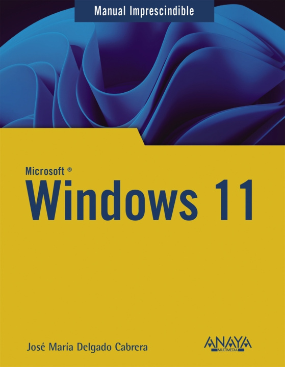 Kniha Windows 11 JOSE MARIA DELGADO