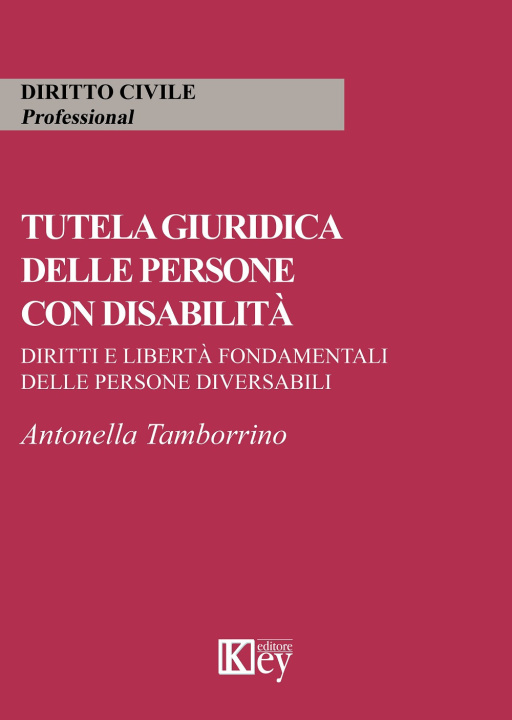 Kniha Tutela giuridica delle persone con disabilità. Diritti e libertà fondamentali delle persone diversabili Antonella Tamborrino