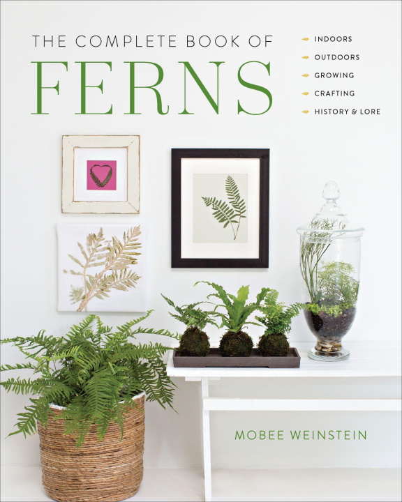 Kniha Complete Book of Ferns 