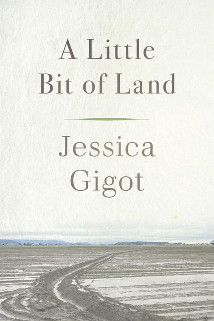 Kniha Little Bit of Land 