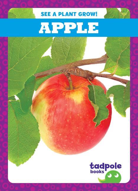 Knjiga Apple 
