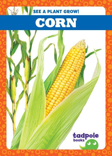 Knjiga Corn 