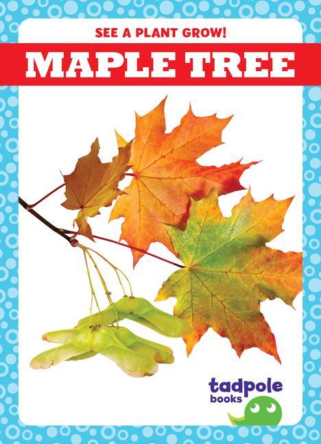 Knjiga Maple Tree 