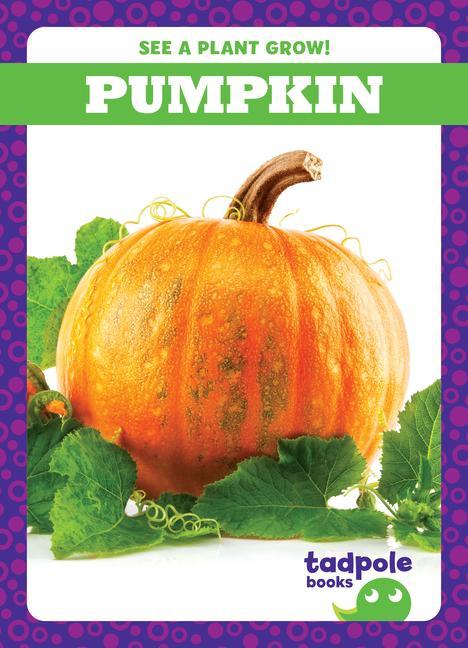 Knjiga Pumpkin 