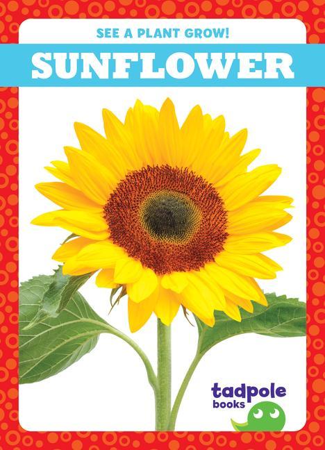 Knjiga Sunflower 