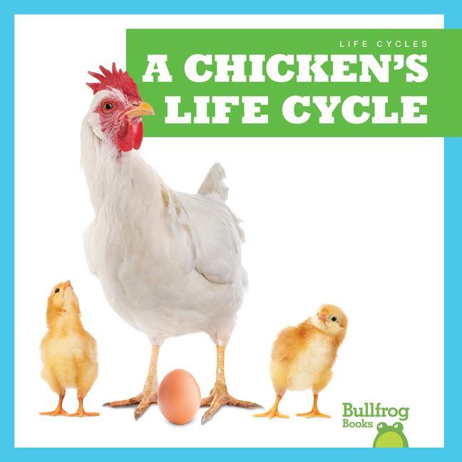 Carte A Chicken's Life Cycle 
