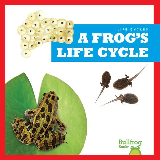 Buch A Frog's Life Cycle 