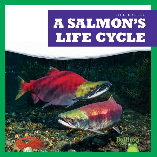 Knjiga A Salmon's Life Cycle 